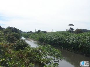  - Rio Barigui prximo ao Parque Cambu