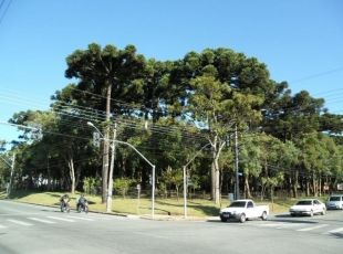 Bosque Boa Vista